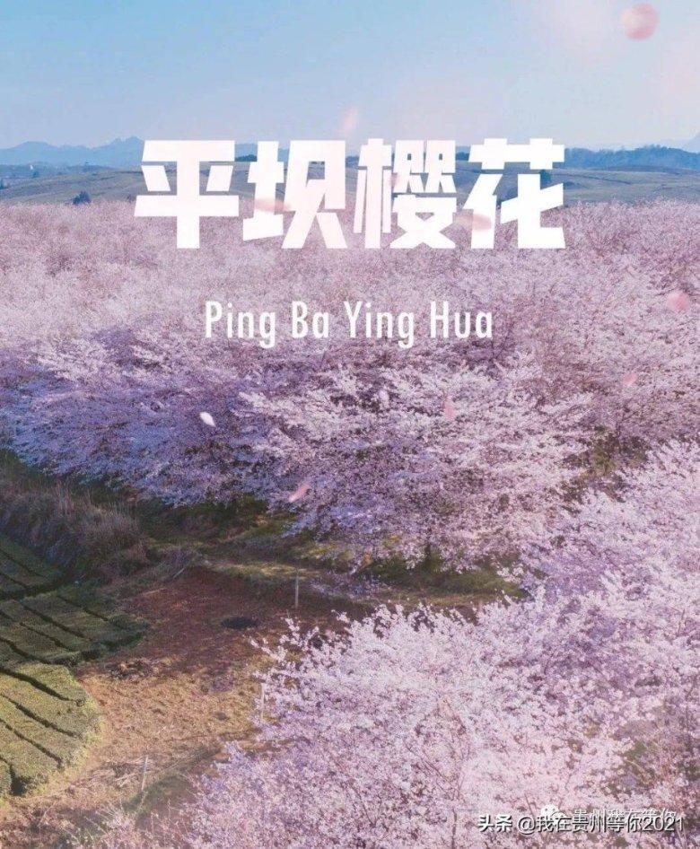 喝热水对身体不好?-探索热门话题的红迪网平台